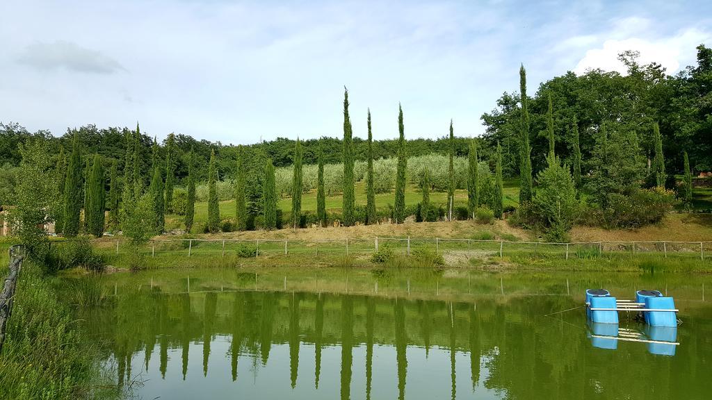 Holiday House Le Selvole ราดดา อิน เคียนติ ภายนอก รูปภาพ